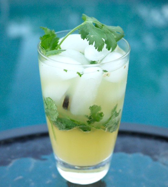 spicy pineapple drink
