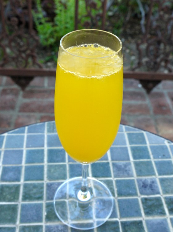 mimosa