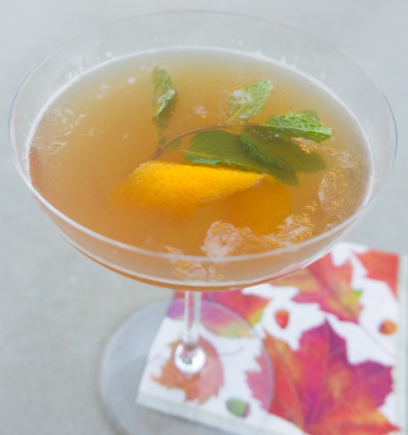 apricot-blossom-edited